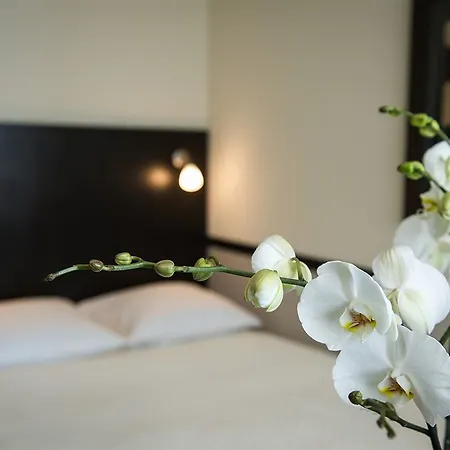 Opera Hotel Zurich